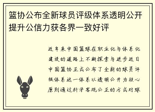 篮协公布全新球员评级体系透明公开提升公信力获各界一致好评