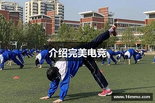 介绍完美电竞